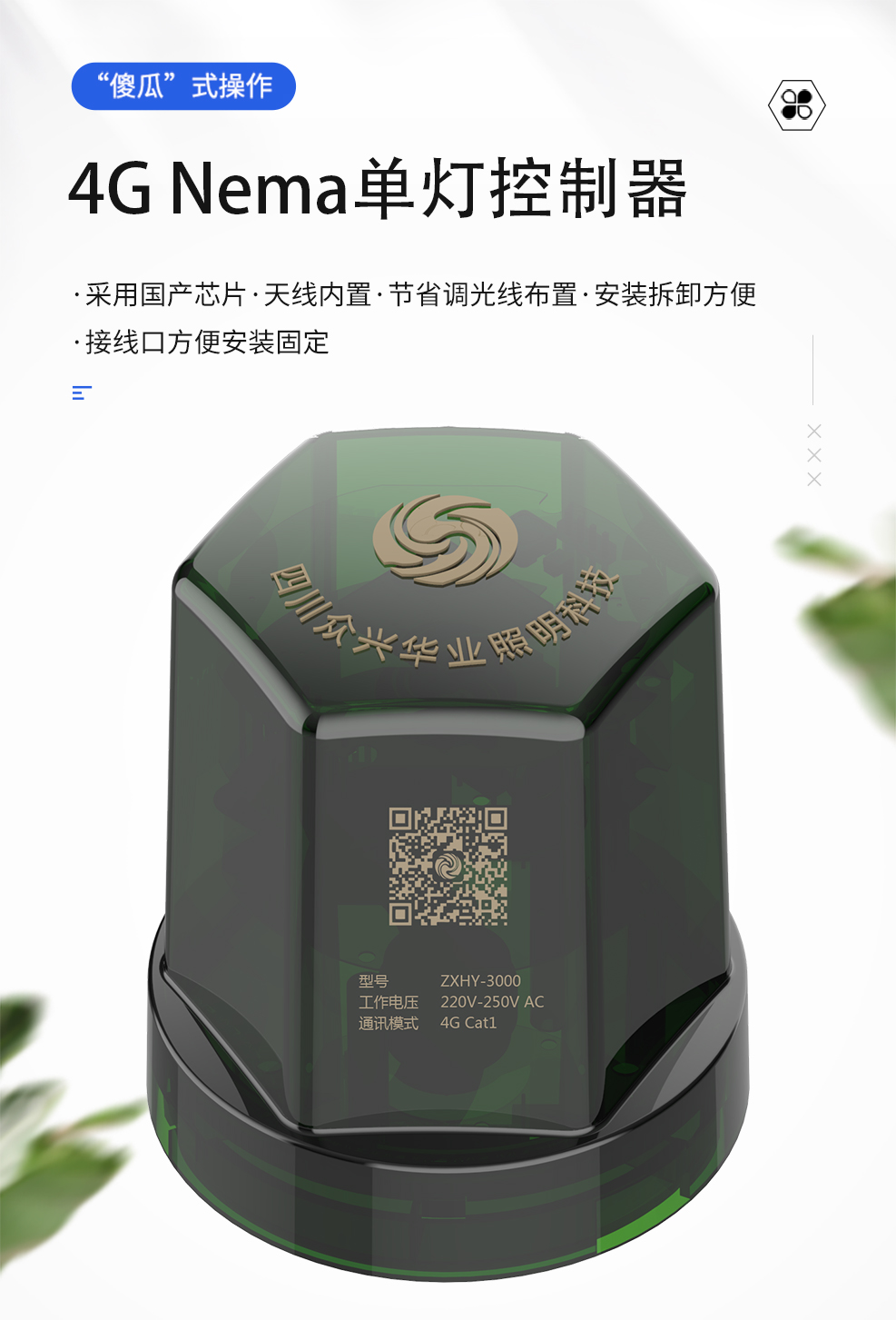 圖片1